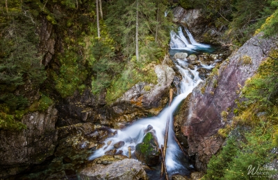 100_1810_2019_IMGP2578