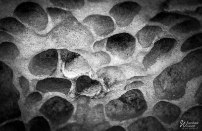 113_1504_2018_IMGP1904