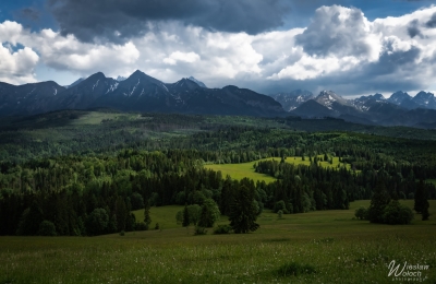 190_2505_2024_IMGP5582