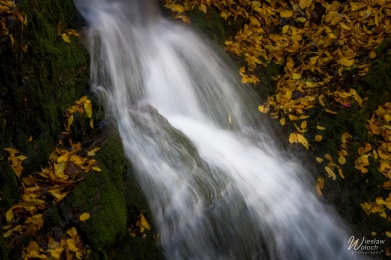 104_1410_2018_IMGP0082