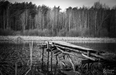 100_2003_2016_IMGP3738