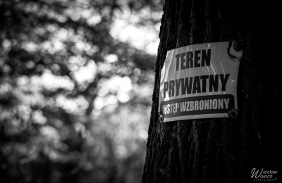 398_2709_2025_IMGP6516