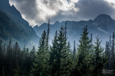 100_1810_2019_IMGP2598