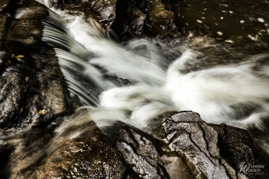 123_2808_2018_IMGP7600