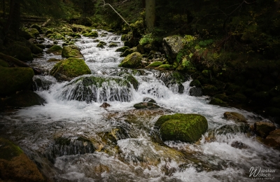 101_1910_2019_IMGP2763