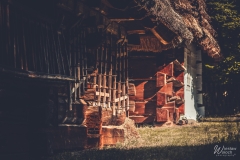 101_0707_2021_IMGP8389