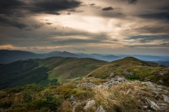 105_1408_2022_IMGP3441