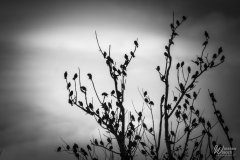 105_2506_2021_IMGP7395