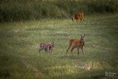 105_2506_2021_IMGP7430