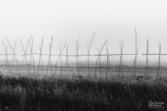 106_2805_2017_IMGP3247