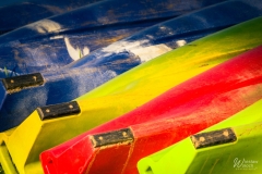 111_2704_2019_IMGP6731