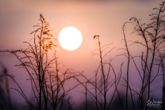 114_2605_2019_IMGP7530