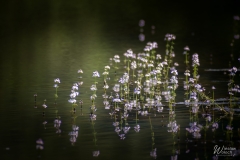 125_2005_2023_IMGP0885