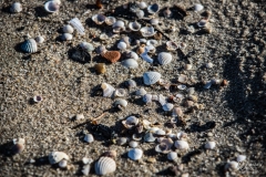 126_1903_2019_IMGP4042