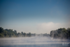 100_0509_2021_IMGP2606-Poprawione-Szum