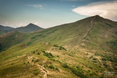 105_1408_2022_IMGP3275