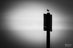 111_2704_2019_IMGP6484