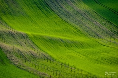 112_1404_2018_IMGP1725