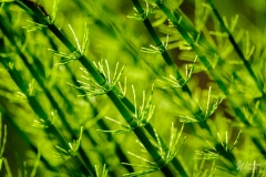 125_2005_2023_IMGP0903