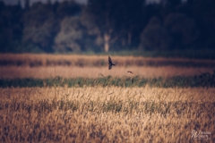 140_1607_2023_IMGP6001