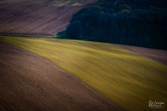 172_2703_2024_IMGP7244