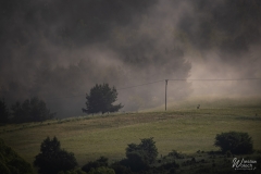 190_2505_2024_IMGP5259