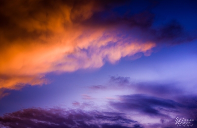 100_1008_2019_IMGP0251