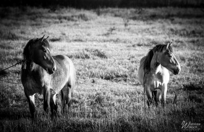 121_1005_2023_IMGP0071