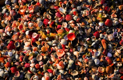 101_0408_2016_IMGP9176