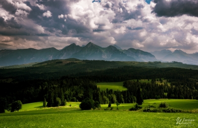 101_2407_2021_IMGP9175