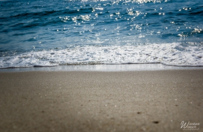 102_0508_2016_IMGP9241