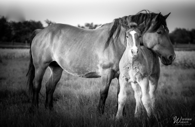 103_0505_2018_IMGP2886