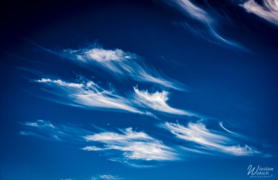 103_2005_2017_IMGP2856