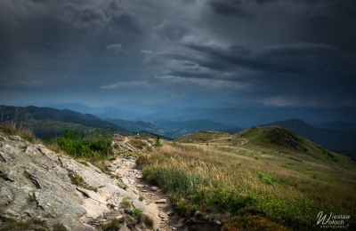 105_1408_2022_IMGP3260