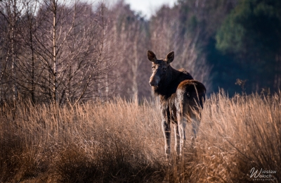 106_2203_2020_IMGP5133