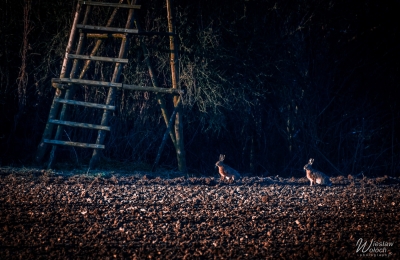 109_0504_2020_IMGP5752