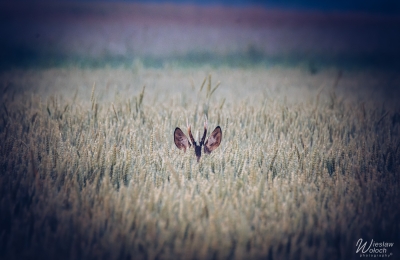 139_0207_2023_IMGP5181