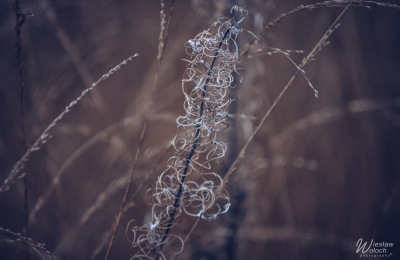 152_0110_2023_IMGP3694