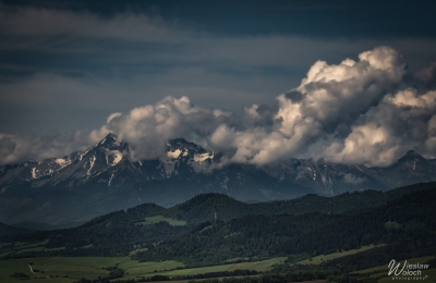 190_2505_2024_IMGP5284