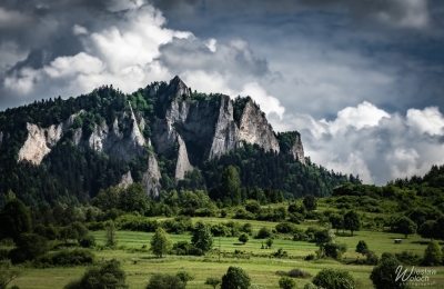 190_2505_2024_IMGP5335