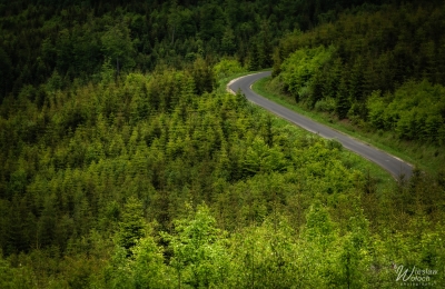 190_2505_2024_IMGP5364