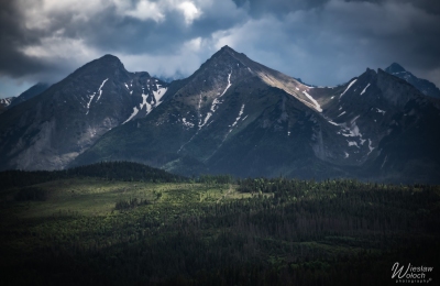 190_2505_2024_IMGP5552