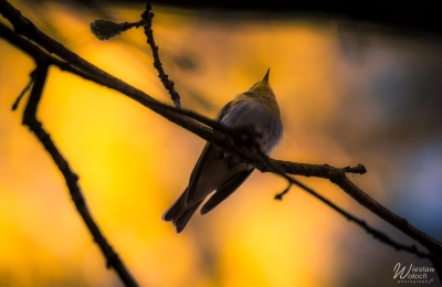 102_0905_2021_IMGP5332