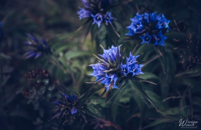 103_1308_2022_IMGP2498