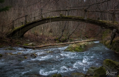 104_0601_2021_IMGP3165