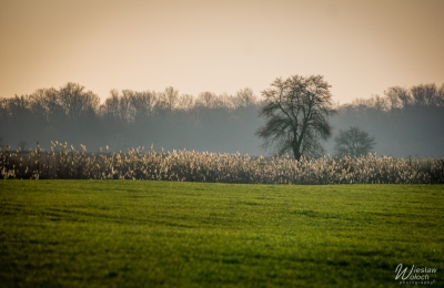 106_2203_2020_IMGP5049