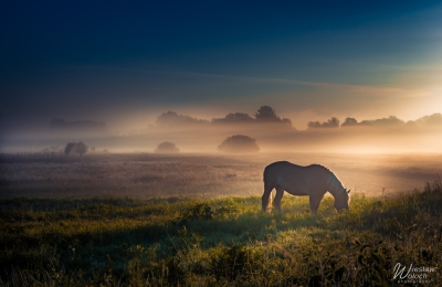 106_2805_2017_IMGP3187