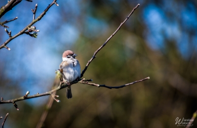 112_1204_2020_IMGP6158