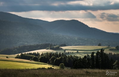 133_1106_2023_IMGP3591