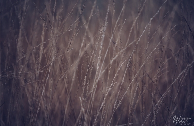 152_0110_2023_IMGP3692